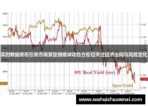 实时数据发布引发市场紧张情绪波动各方密切关注经济走向与风险变化