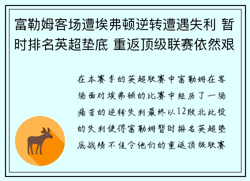 富勒姆客场遭埃弗顿逆转遭遇失利 暂时排名英超垫底 重返顶级联赛依然艰难